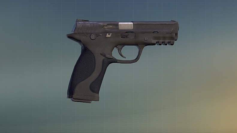 AP Handgun.jpg