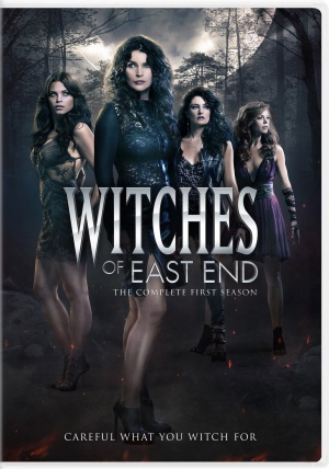 Witches of East End S1 poster.jpg
