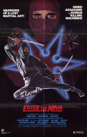 Enter the Ninja Poster.jpg