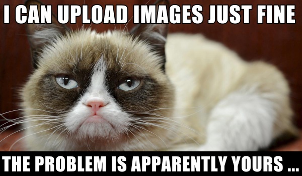 Grump-cat-I-can-upload-just-fine.jpg