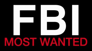 FBIMWS3 Logo.jpg