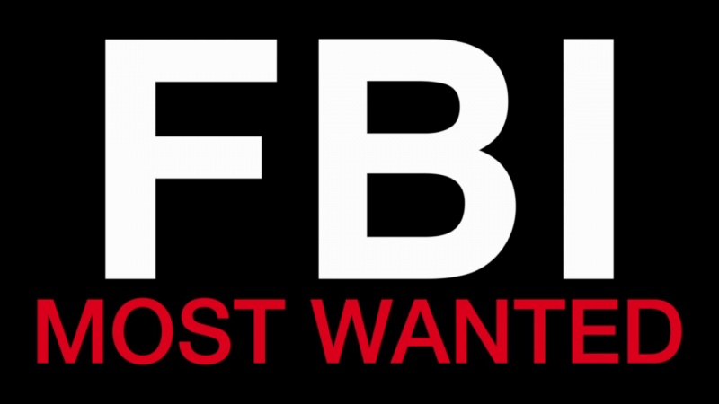 File:FBIMWS3 Logo.jpg
