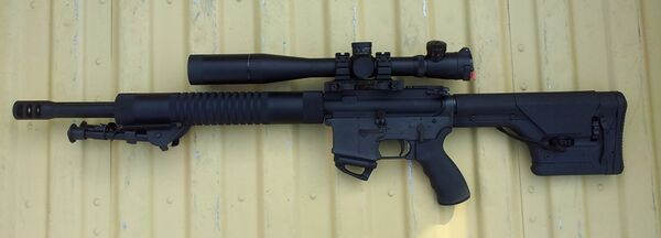 AR-15 custom DMR.jpg