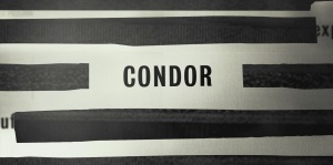 Condor Title.jpg
