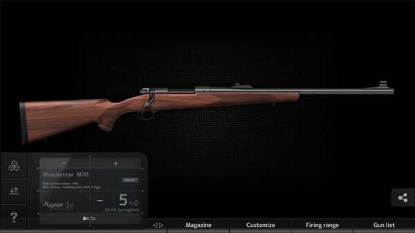 P7S MGN3 Winchester M70 (1).jpg