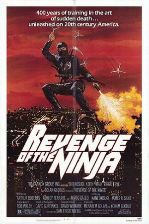 Revenge of the ninja poster.jpg