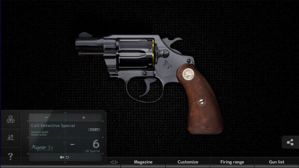 P7S Colt Detective Special (1).jpg