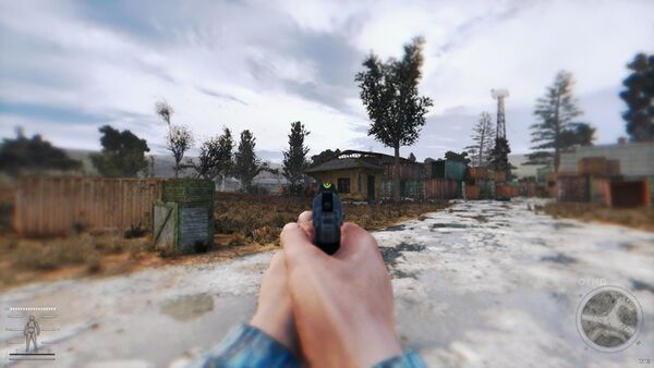 Anomaly Tokarev TT-33 tryt aim.jpg