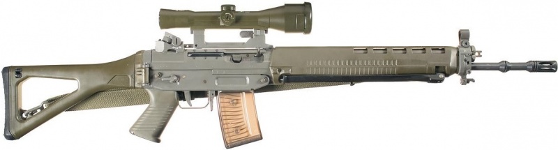 File:Scoped SG 550 rifle.jpg