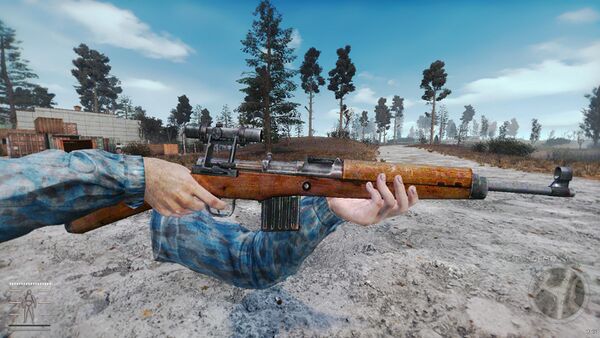 Anomaly Gewehr 43 world 2.jpg