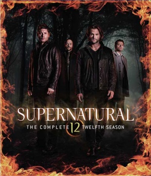 Supernatural Season 12 Banner.jpg