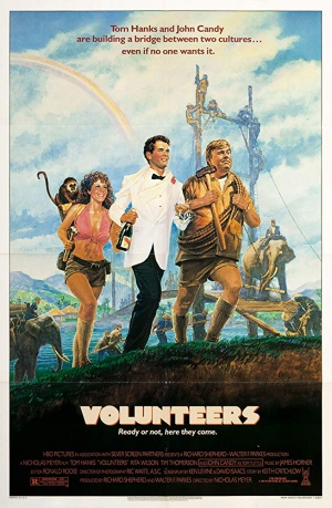 Volunteers poster.jpg