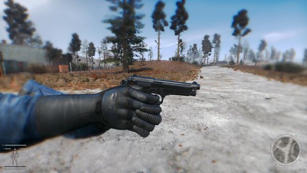 Anomaly Beretta 92F world 2.jpg